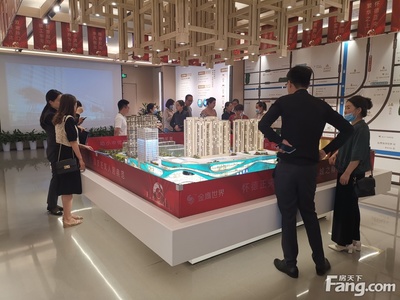 金鷹世界怎么樣?看現場置業顧問發布了5條項目新消息!