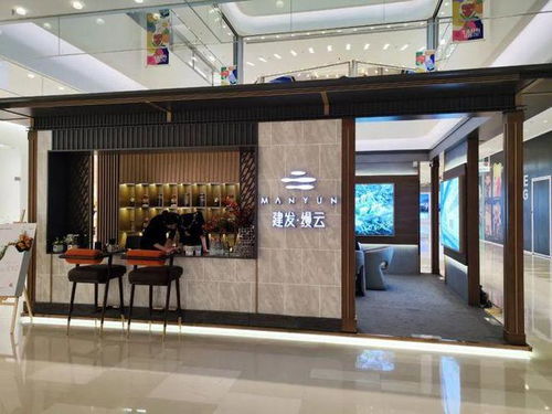 首曝光 河西南豪宅有戶型圖流出