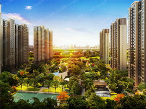 主城區豪宅當道 80平兩居給你最后的置業時機